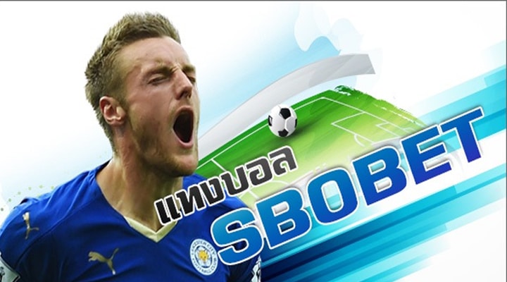 เว็บแทงบอล sbobet